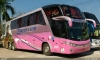 ônibus 2017